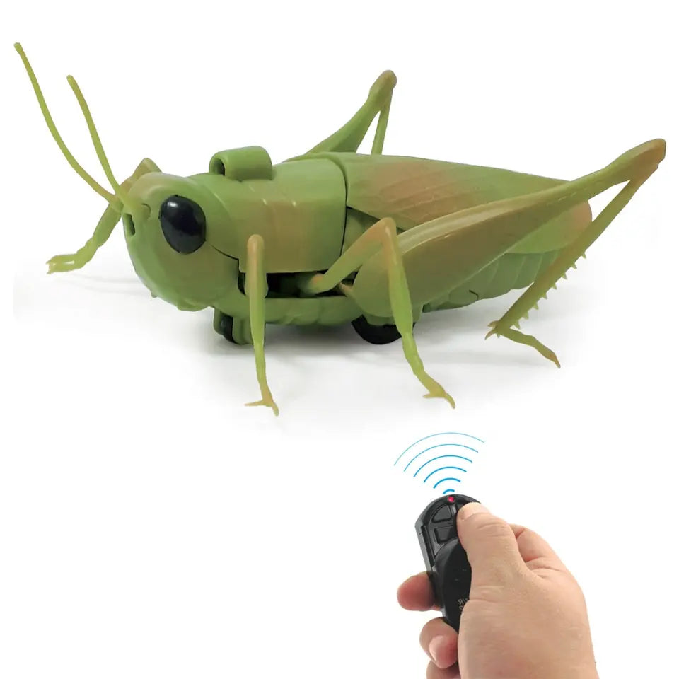 Remote Control Grass Hopper | INFRARED RC | Spooky Insect