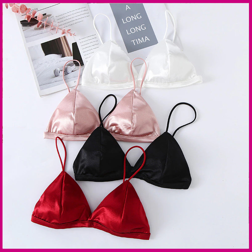 Pack Of 2 New Soft & Pure Silk Triangle Cup Light Padded T-Shirt Bra One Hook Padded Bra 2051
