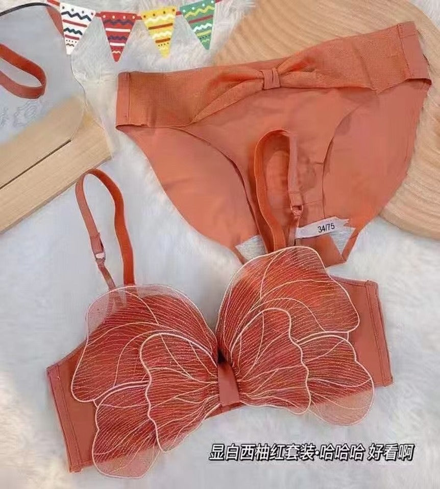 High Quality Cute Butterfly Embroidered Adjustable Straps Full Back Support Bra & Panty Set 8806