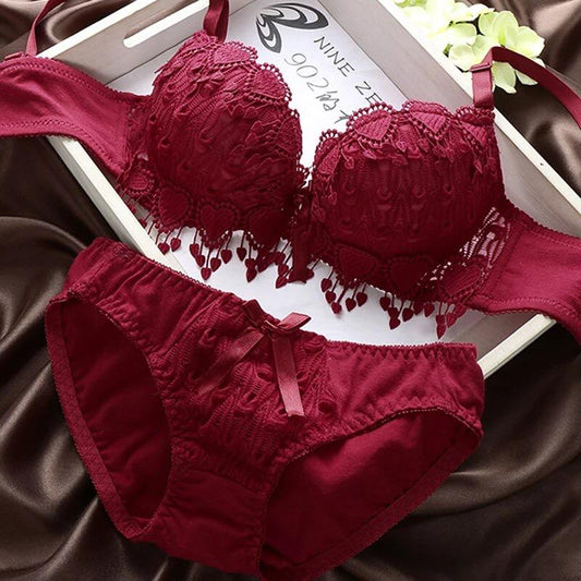 Elegance Home Women Lace embroidered Push Up Underwire Bra And Panty Set 018